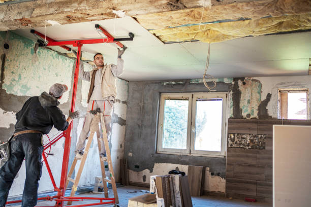 Best Cellulose Insulation in Winterset, IA