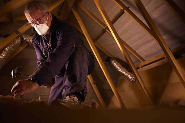Best Eco-Friendly Insulation in Winterset, IA
